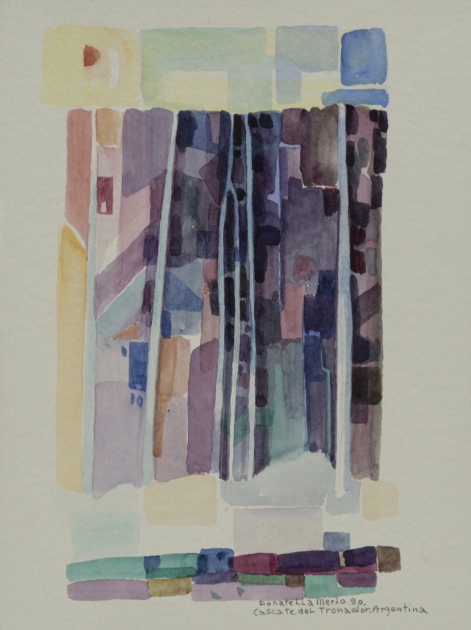 Tronador-Wasserfälle II (Argentinien) von Donatella Merlo