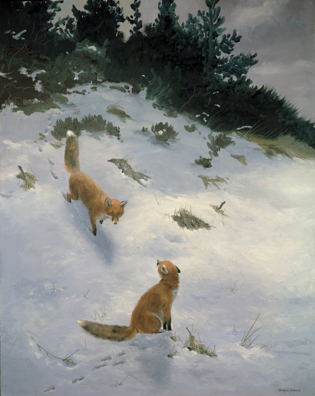 Liebe auf den ersten Blick, Füchse im Schnee von Douglas Anderson