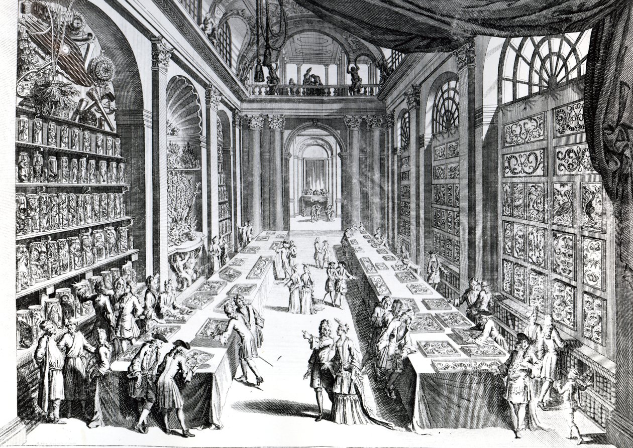 Illustration aus 
