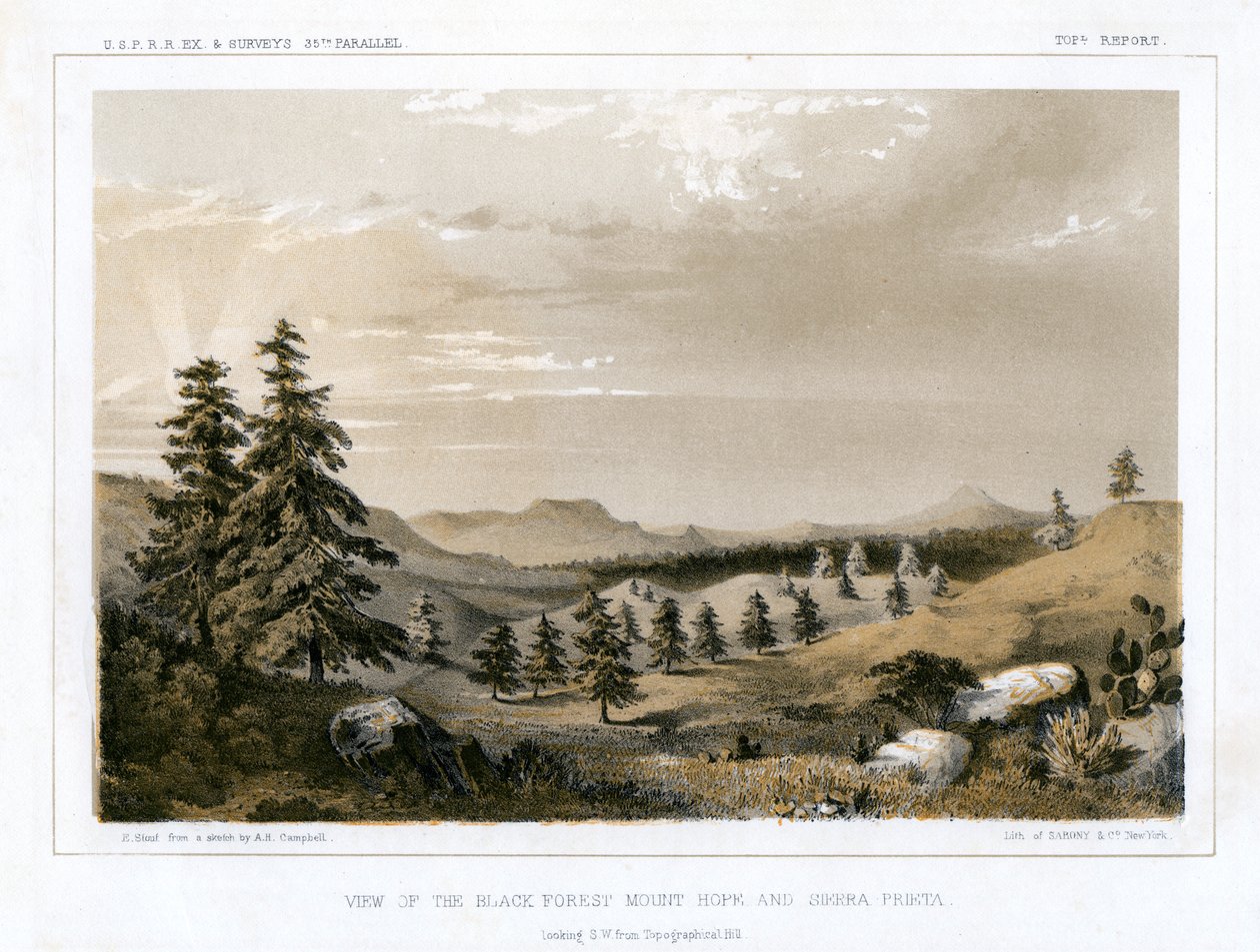 Der Schwarzwald Mount Hope und Sierra Prieta, USA, 1856 von E Stout