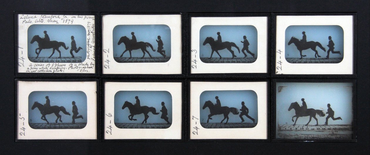 Leland Stanford Jr. auf seinem Pony Gypsy von Eadweard Muybridge