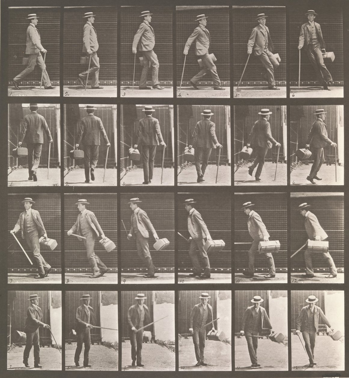 Tierlokomotion. Eine elektro-fotografische Untersuchung... von Tierbewegungen. Beginn..., 1880er Jahre von Eadweard Muybridge