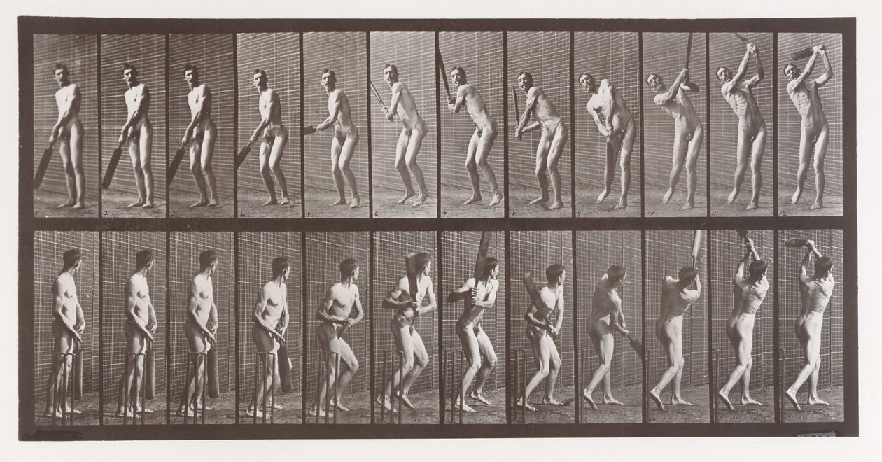 Tierlokomotion. Eine elektro-fotografische Untersuchung aufeinanderfolgender Phasen von Tier..., 1880er Jahre von Eadweard Muybridge