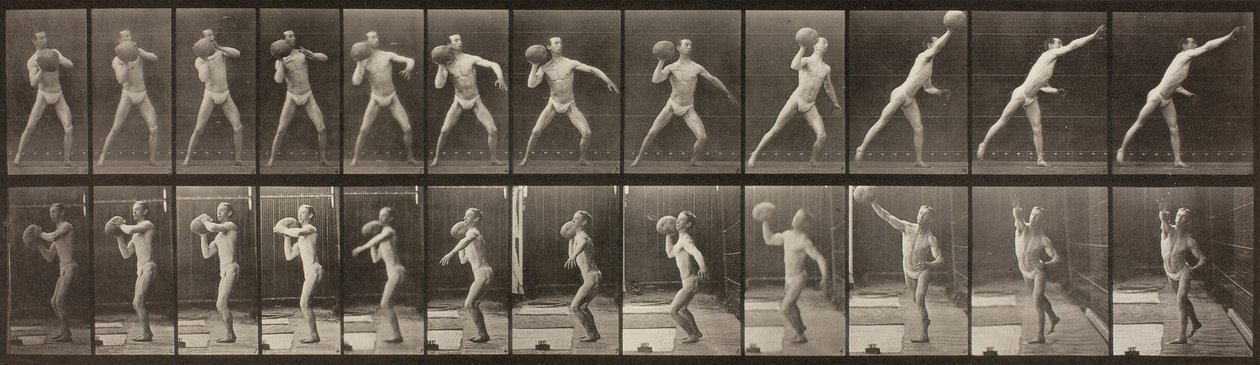 Tierbewegung, Tafel 319, 1887 von Eadweard Muybridge