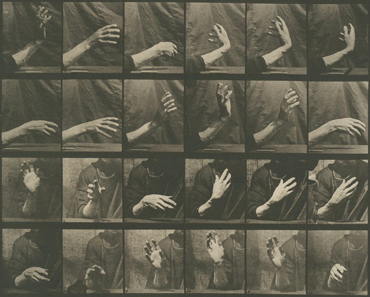 Tierbewegung, Platte 535 von Eadweard Muybridge