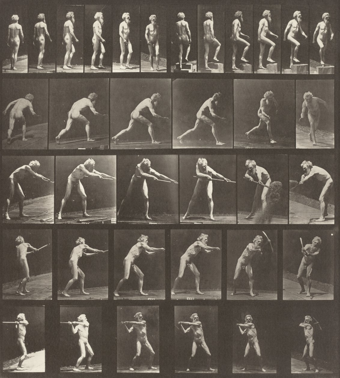 Tafel Nummer 521. A: Gehen. B: Eine Stufe hinaufsteigen. C: Den Diskus werfen. D: Eine Schaufel benutzen..., 1887 von Eadweard Muybridge