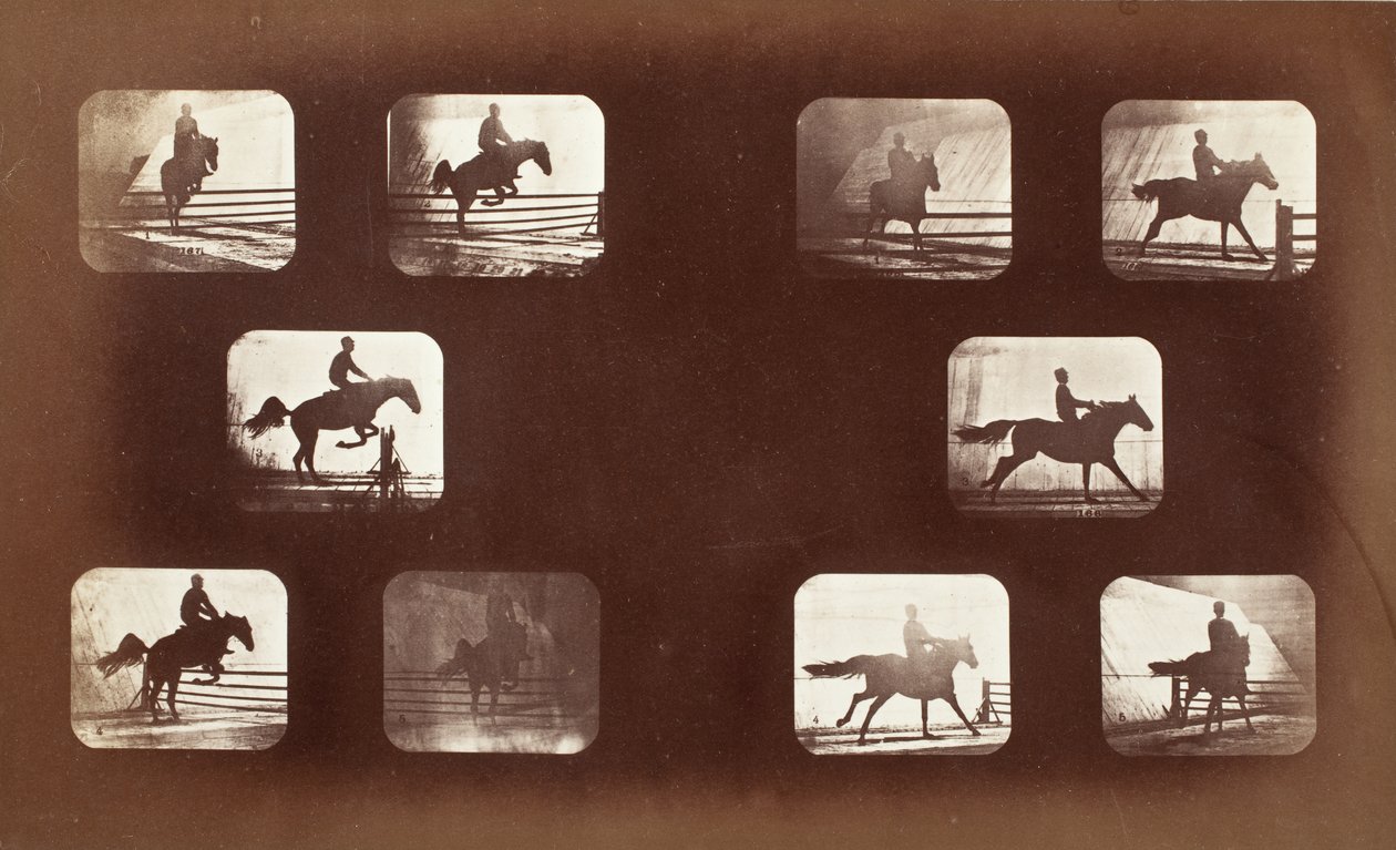 Tierbewegung (Mann auf Pferd über Hürden) von Eadweard Muybridge
