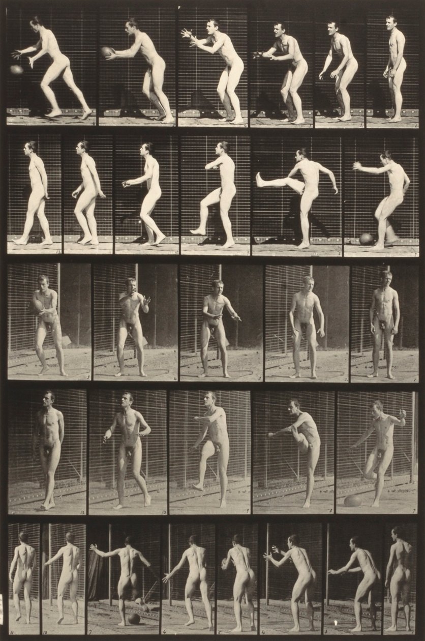 Tierbewegung (Tafel 300) von Eadweard Muybridge