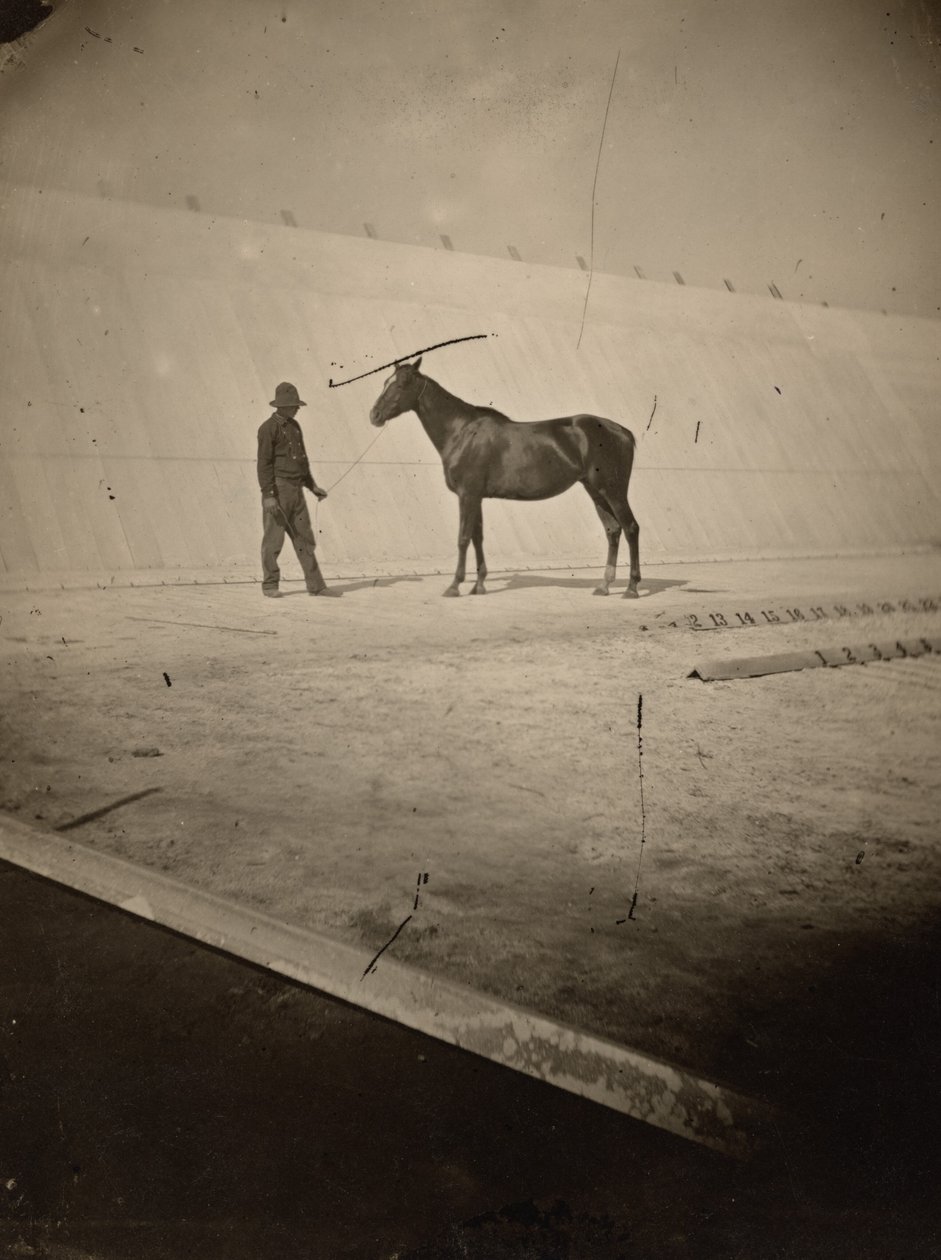 Detail der Rennbahn auf Leland Stanfords Pferdefarm in Palo Alto, 1878–1879 (Foto) von Eadweard Muybridge