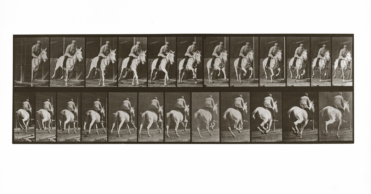 Galoppierendes Pferd mit Reiter, Platte 635 aus Animal Locomotion von Eadweard Muybridge