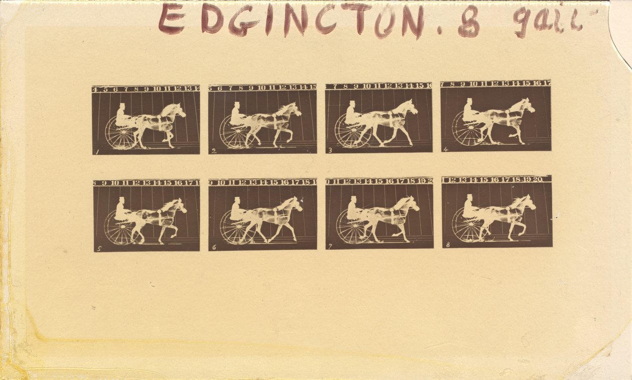 Internegativ für Pferde. Trabend. Abe Edgington. Nr. 28 von Eadweard Muybridge