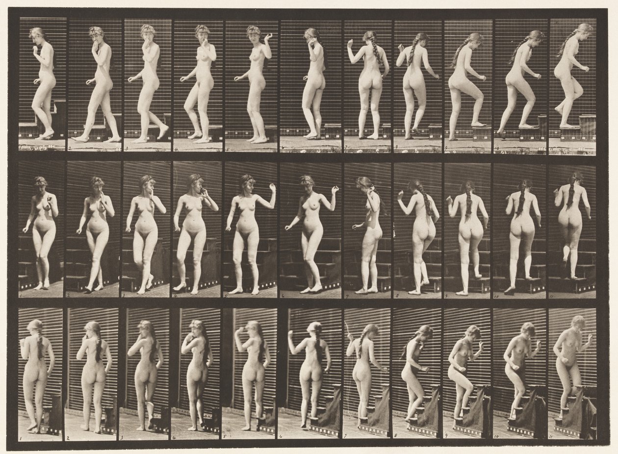 Tafel 101. Treppensteigen, winkende Hand von Eadweard Muybridge