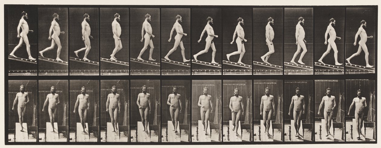 Tafel 113. Abstieg, 1 zu 4 von Eadweard Muybridge