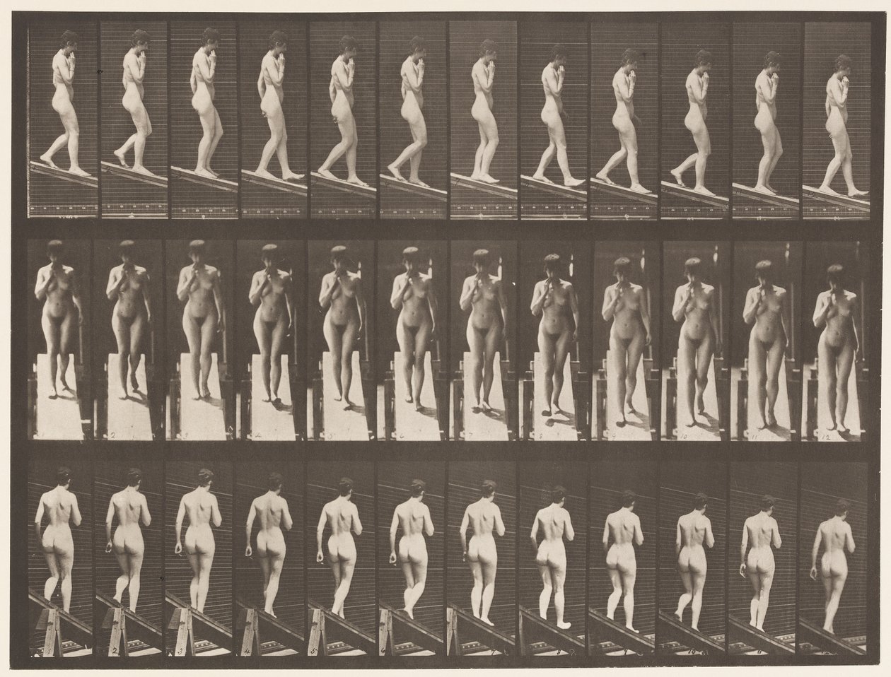 Tafel 116. Steigung hinabsteigen, eine Hand am Kinn von Eadweard Muybridge