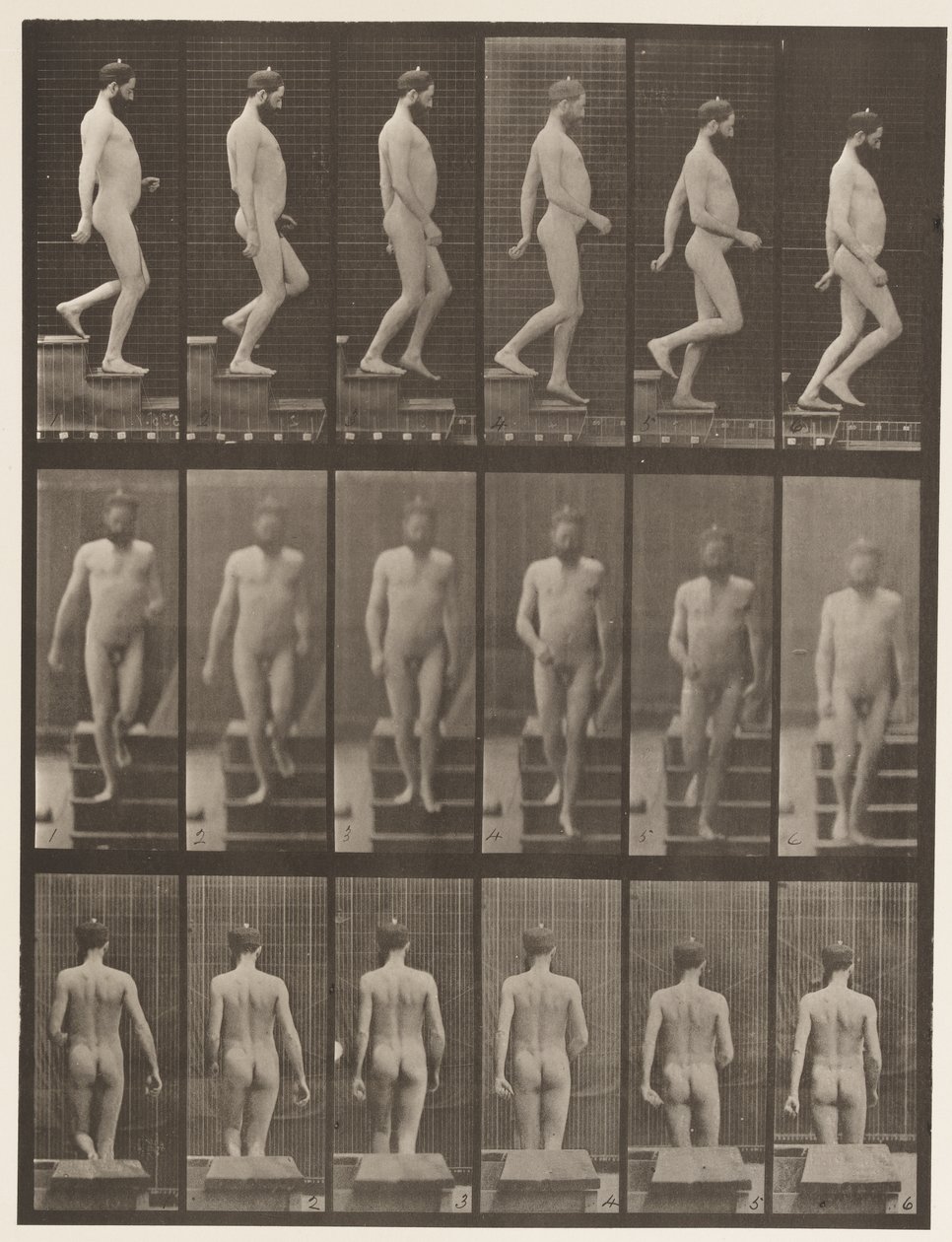 Tafel 127. Treppen hinuntersteigen, 1872-1885 von Eadweard Muybridge