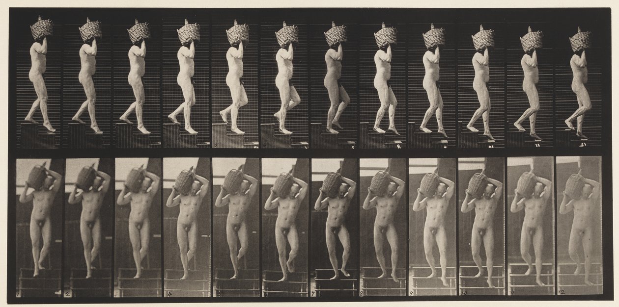 Tafel 136. Treppenabstieg, voller Demijohn auf der Schulter von Eadweard Muybridge