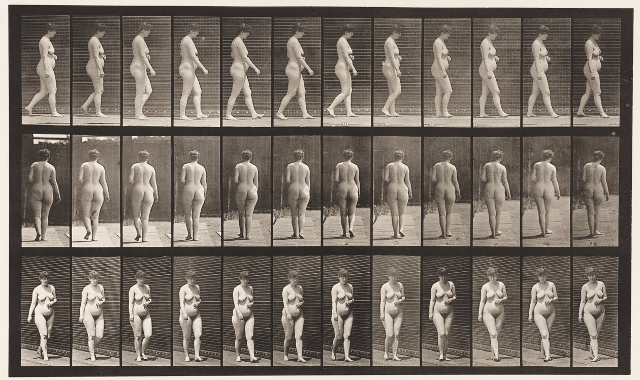 Gehen, linke Hand über dem Bauch von Eadweard Muybridge