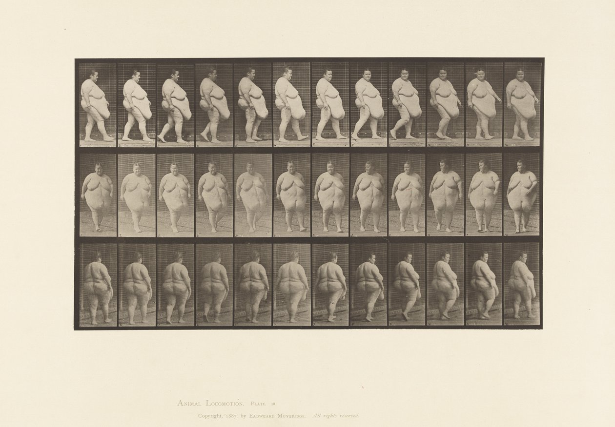 Platte 19. Gehen, Beginn der Drehung von Eadweard Muybridge