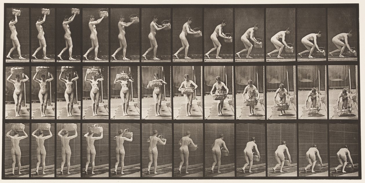 Tafel 201. 12-Pfund-Korb vom Kopf nehmen, auf den Boden stellen, 1872-1885 von Eadweard Muybridge