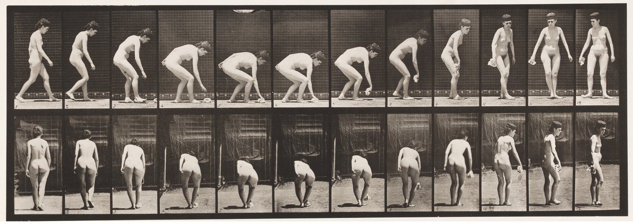 Tafel 220. Sich bücken und ein Taschentuch aufheben und sich umdrehen von Eadweard Muybridge