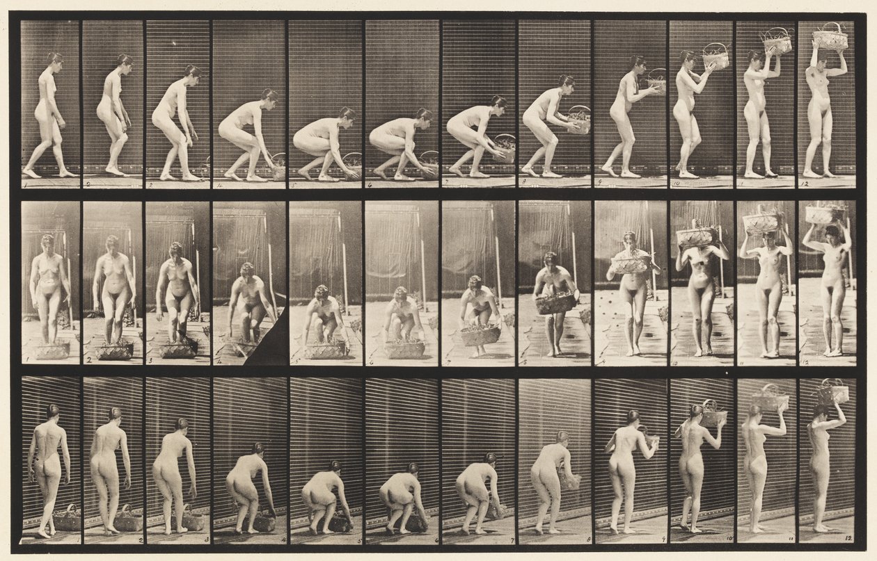 Tafel 221. Bücken und 12 Pfund Korb auf den Kopf heben von Eadweard Muybridge