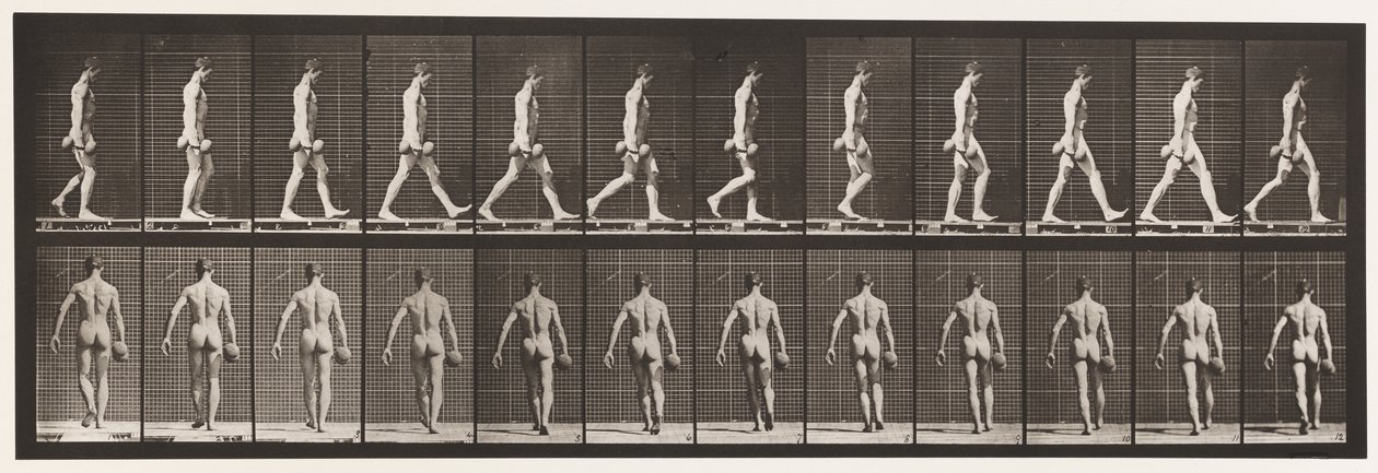 Tafel 28. Gehen, 50 Pfund Hantel in der rechten Hand tragen von Eadweard Muybridge