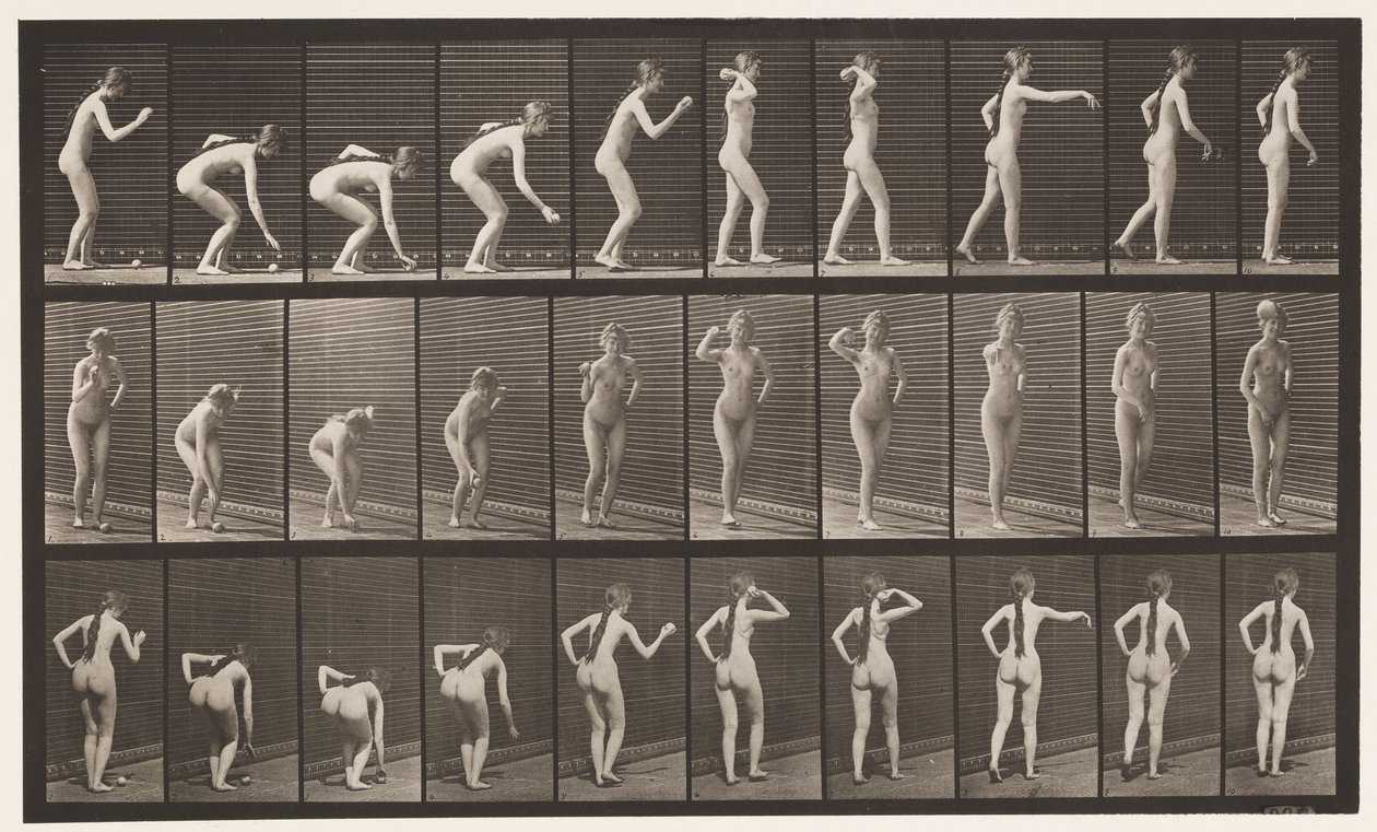 Tafel 304. Einen Ball aufheben und werfen von Eadweard Muybridge