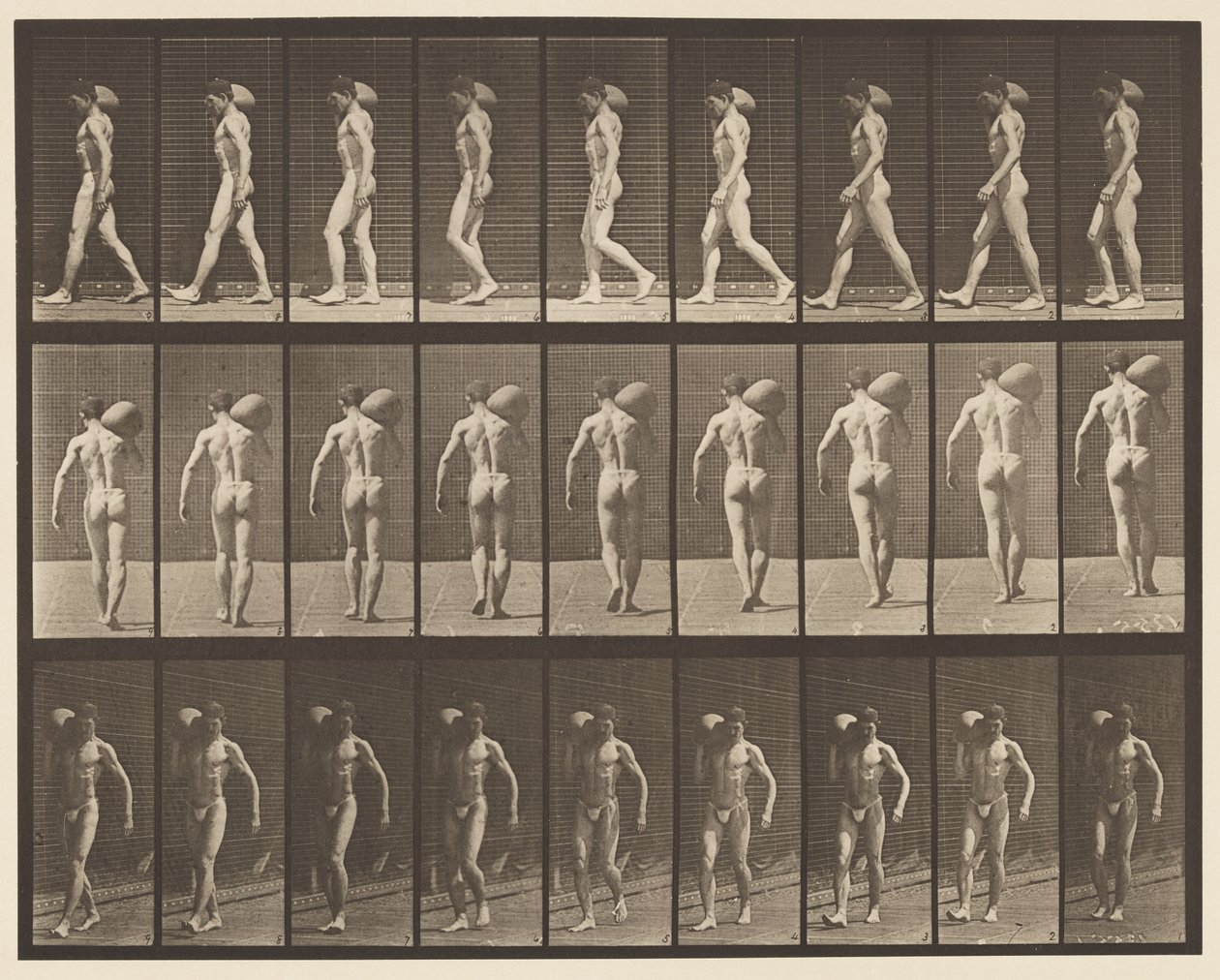 Tafel 31. Gehen, 75-Pfund-Stein auf der rechten Schulter tragend von Eadweard Muybridge