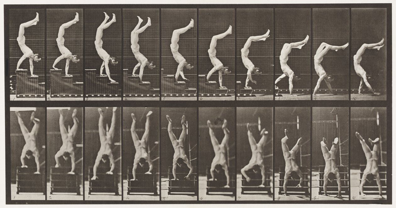 Tafel 368. Akrobat, Treppe auf Händen hinuntergehen von Eadweard Muybridge