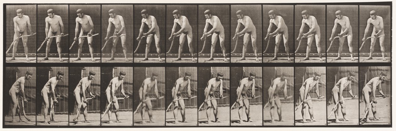 Tafel 391. Bauer, der Gras mäht von Eadweard Muybridge