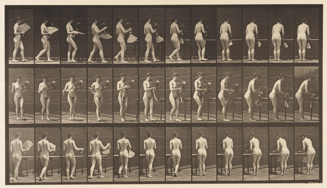 Tafel 441. Vase tragen und auf den Tisch stellen von Eadweard Muybridge