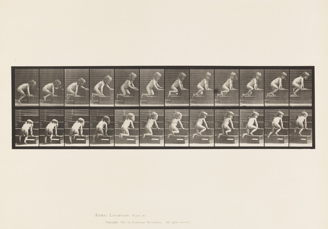 Tafel 472. Kind, krabbelt die Treppe hinauf, 1885 von Eadweard Muybridge
