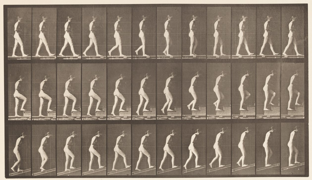 Tafel 482. A, Gehen; B, Treppen steigen; C, Abwärts geneigt von Eadweard Muybridge