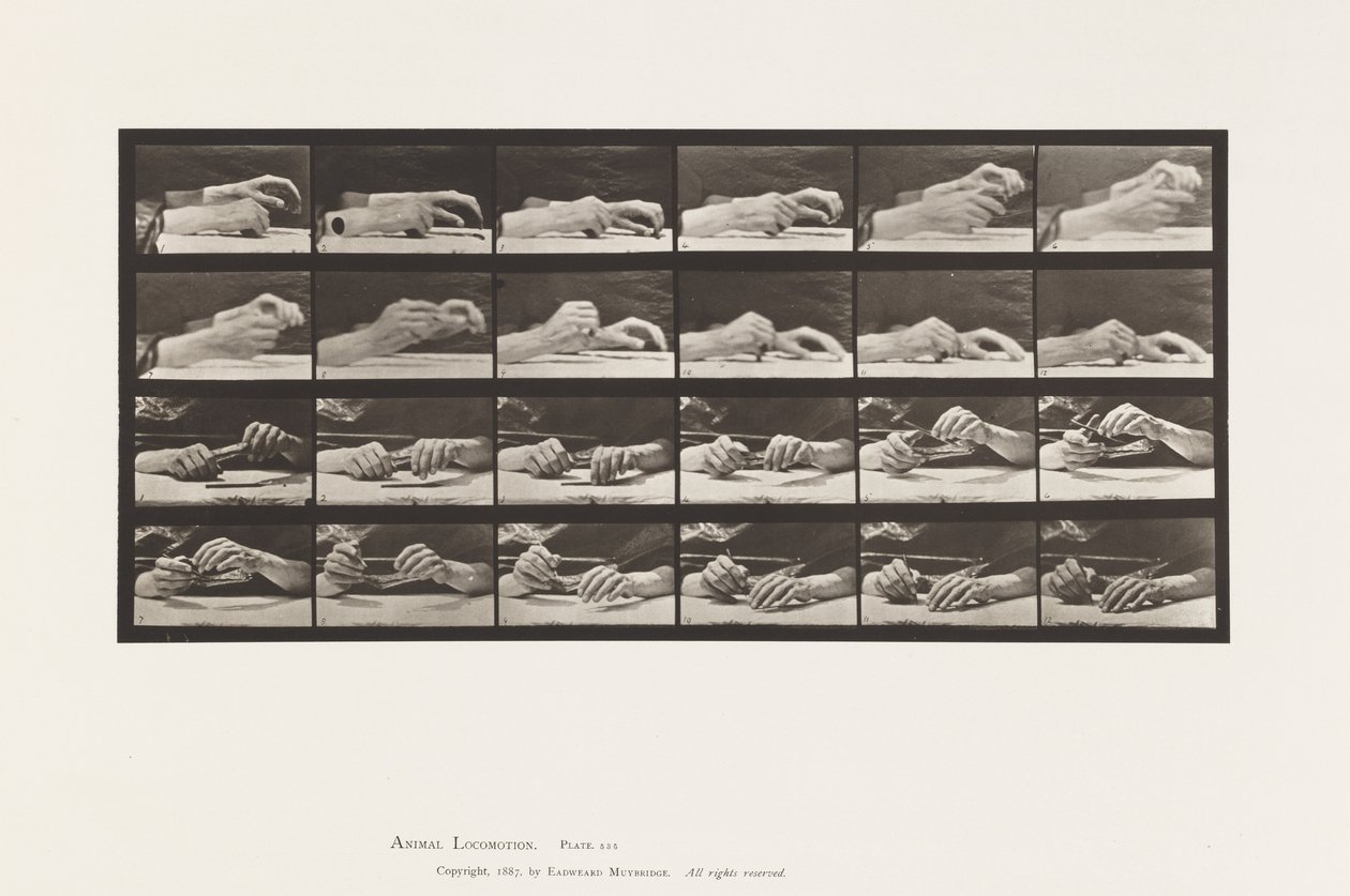 Platte 536. Bewegung der Hand; Hände wechseln Bleistift von Eadweard Muybridge