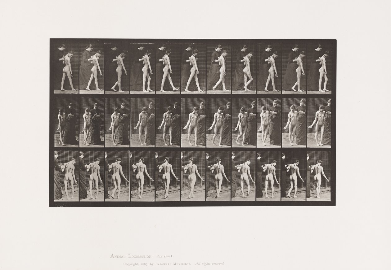 Platte 541. Multiple zerebrospinale Sklerose (Choreisch); Gehen von Eadweard Muybridge