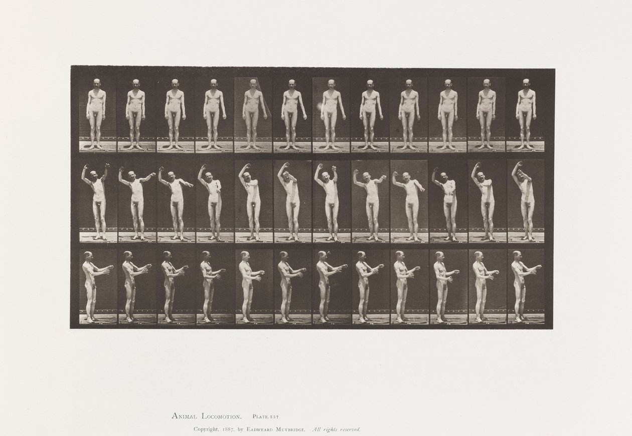 Tafel 557. Lokale Chorea; A, B, C, im Stehen, 1885 von Eadweard Muybridge