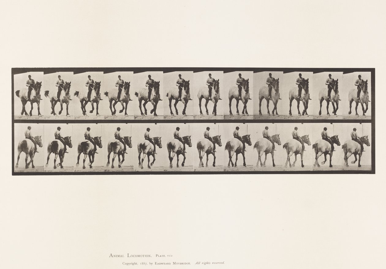 Tafel 600. Trabend; Ohne Sattel; Dunkelgrauer Dusel von Eadweard Muybridge
