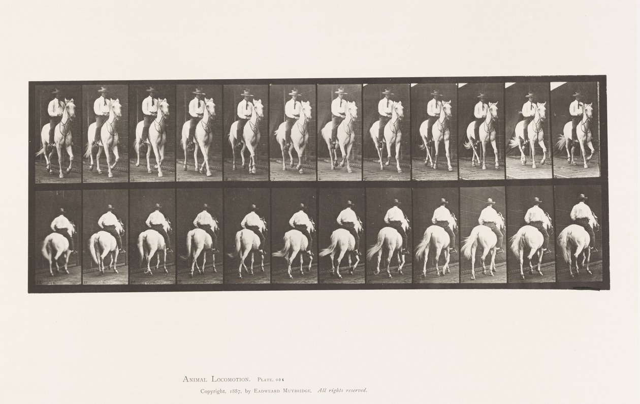 Tafel 604. Trabend; Sattel; Weißes Pferd Elberon von Eadweard Muybridge