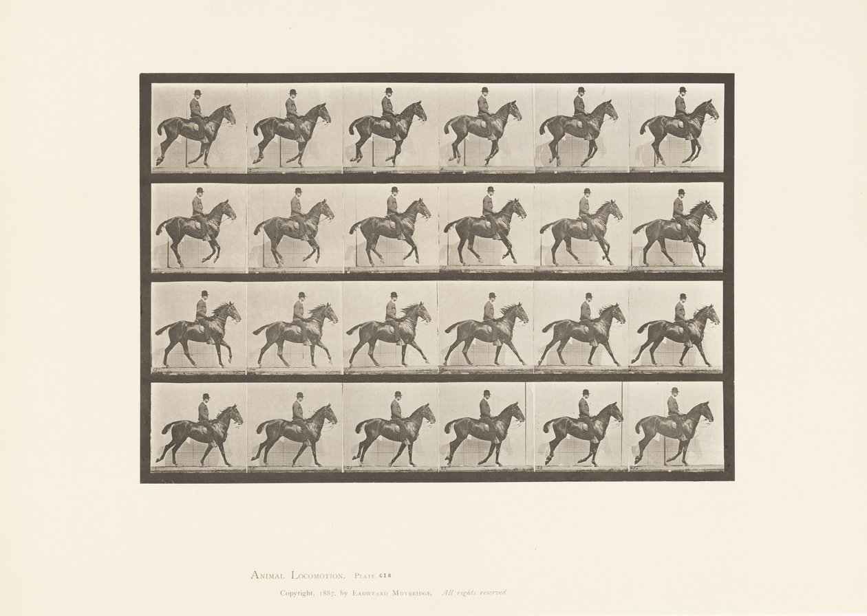 Tafel 616. Kanter; Sattel; Braunes Pferd Daisy von Eadweard Muybridge