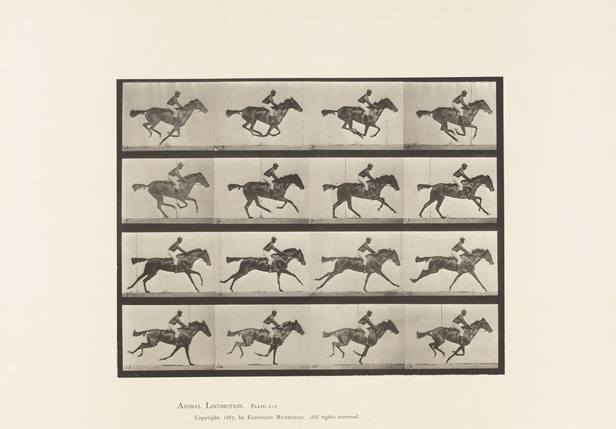 Tafel 626. Galopp; Vollblut Braune Stute Annie G. von Eadweard Muybridge