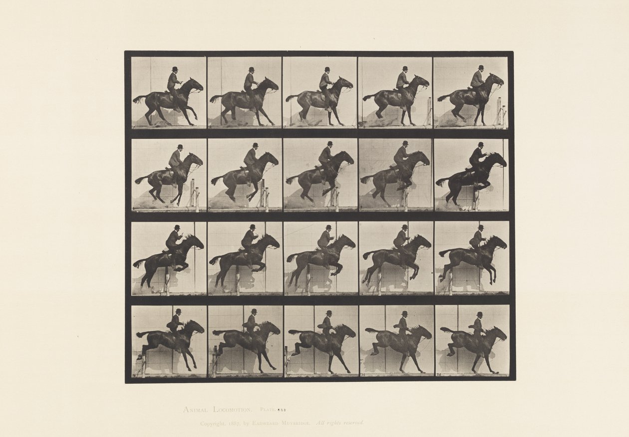 Tafel 638. Hürdensprung; Sattel; Braunes Pferd Daisy von Eadweard Muybridge