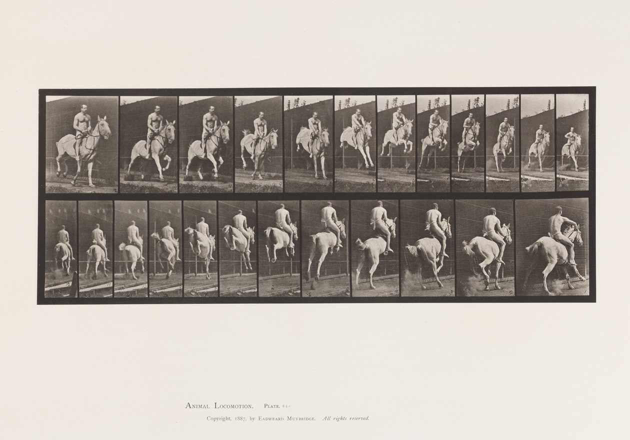 Tafel 646. Ein Hindernis überspringen; Sattel; Reiter, 105, Akt;, 1885 von Eadweard Muybridge