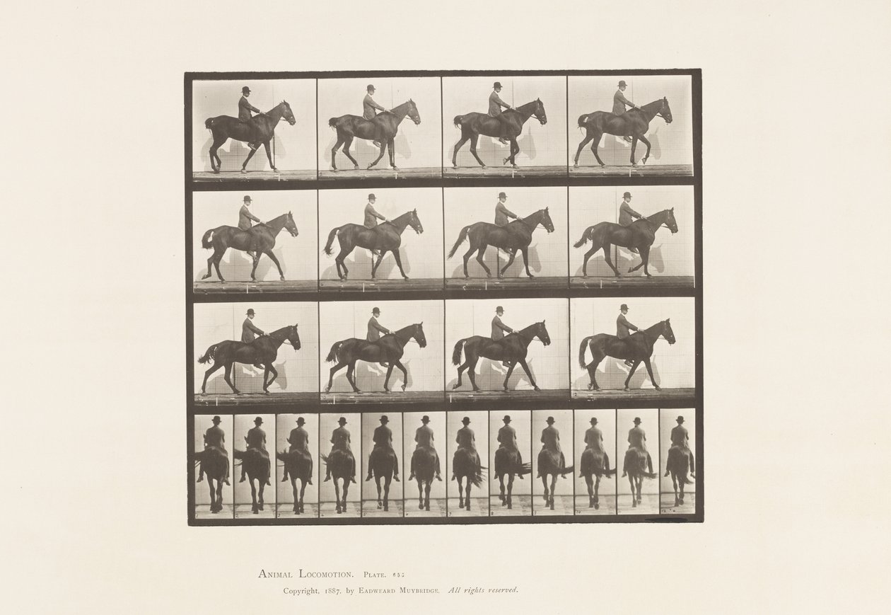 Tafel 655. Gehend; Sattel; Spat, rechtes Hinterbein; Pferd von Eadweard Muybridge
