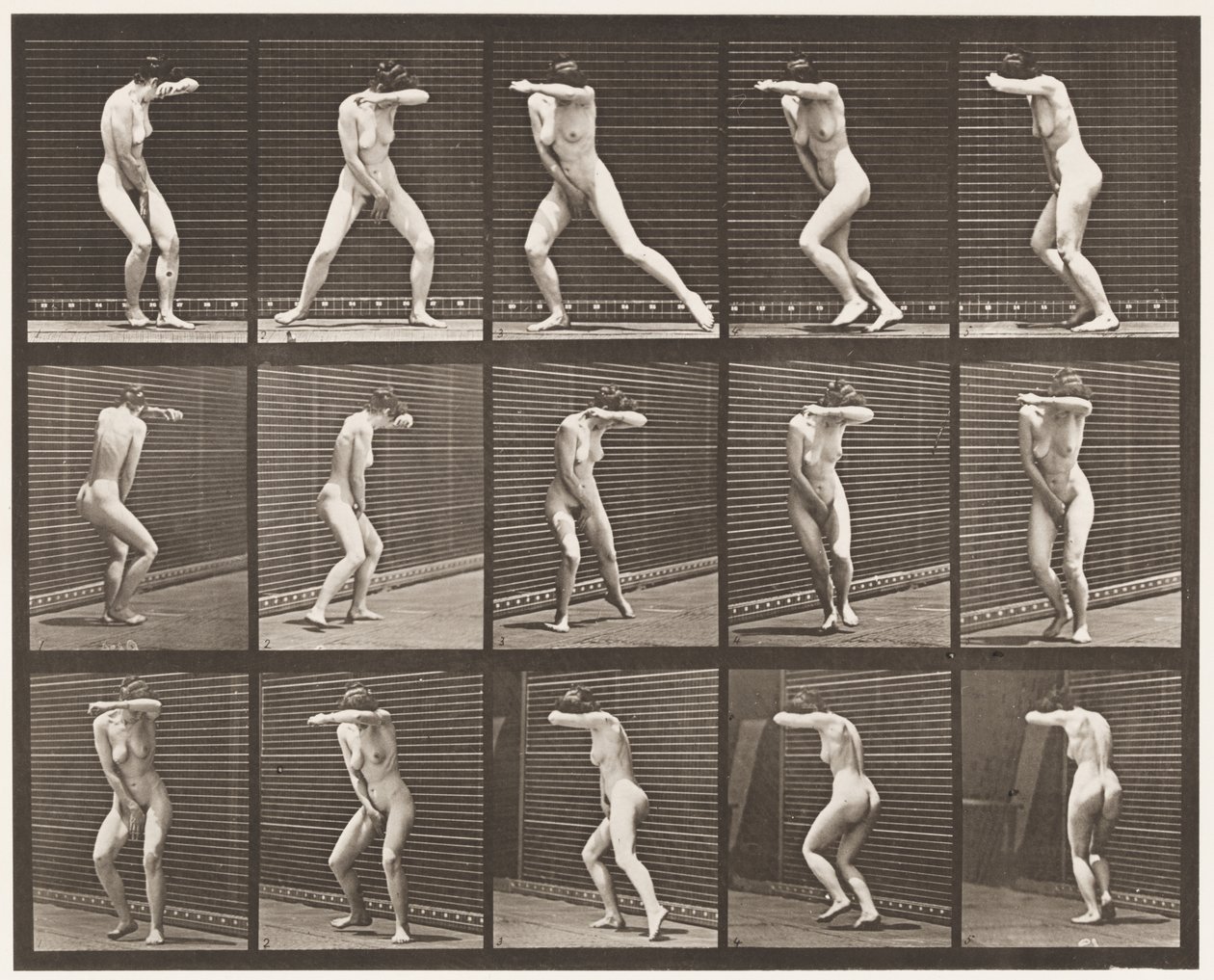 Tafel 73. Sich überrascht umdrehen und weglaufen, 1872-1885 von Eadweard Muybridge