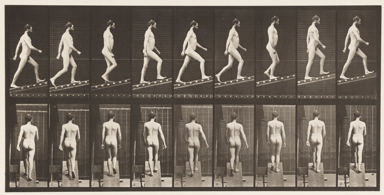 Tafel 75. Steigung hinaufsteigen, Winkel 1 zu 4, 1872-1885 von Eadweard Muybridge