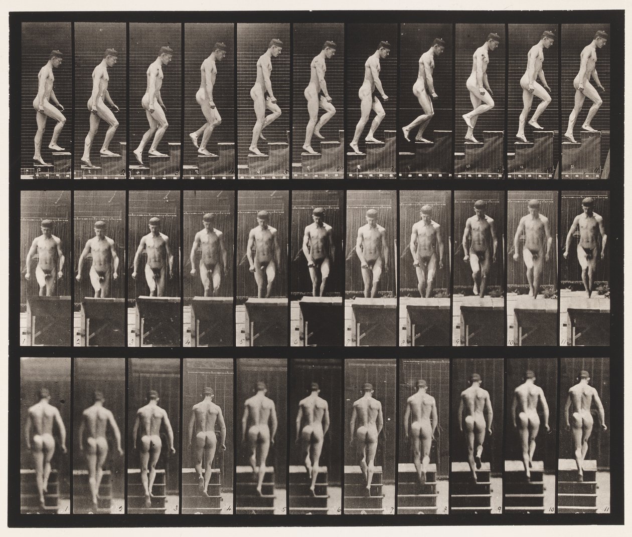 Tafel 88. Treppensteigen von Eadweard Muybridge