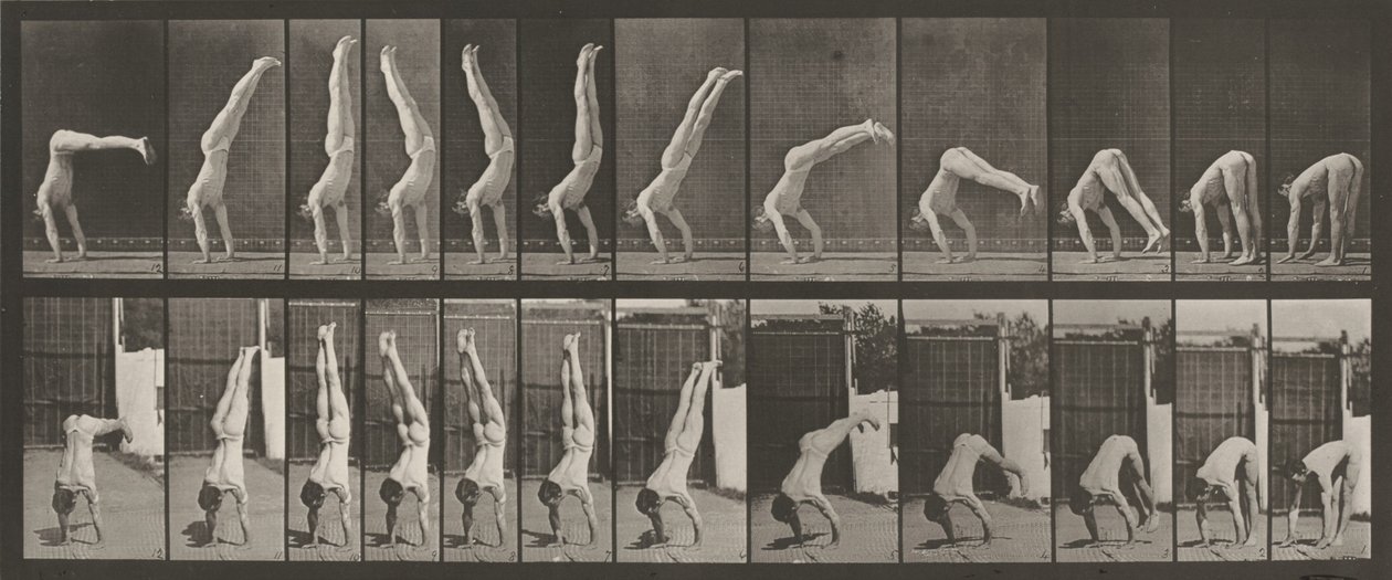 Tafel Nummer 371. Akrobat, vertikaler "Press Up", 1887 von Eadweard Muybridge