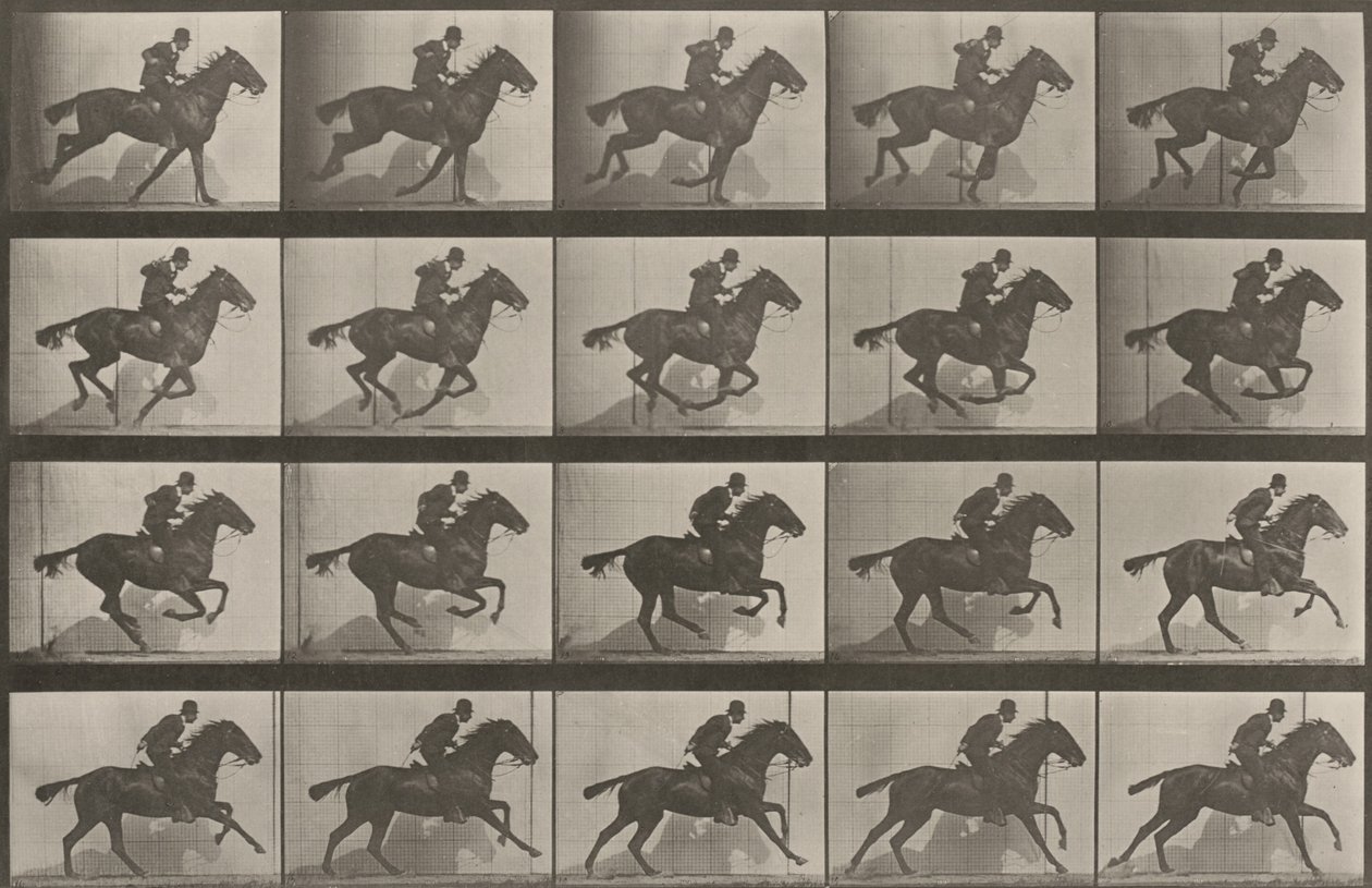 Tafel Nummer 628. "Daisy" im Galopp von Eadweard Muybridge
