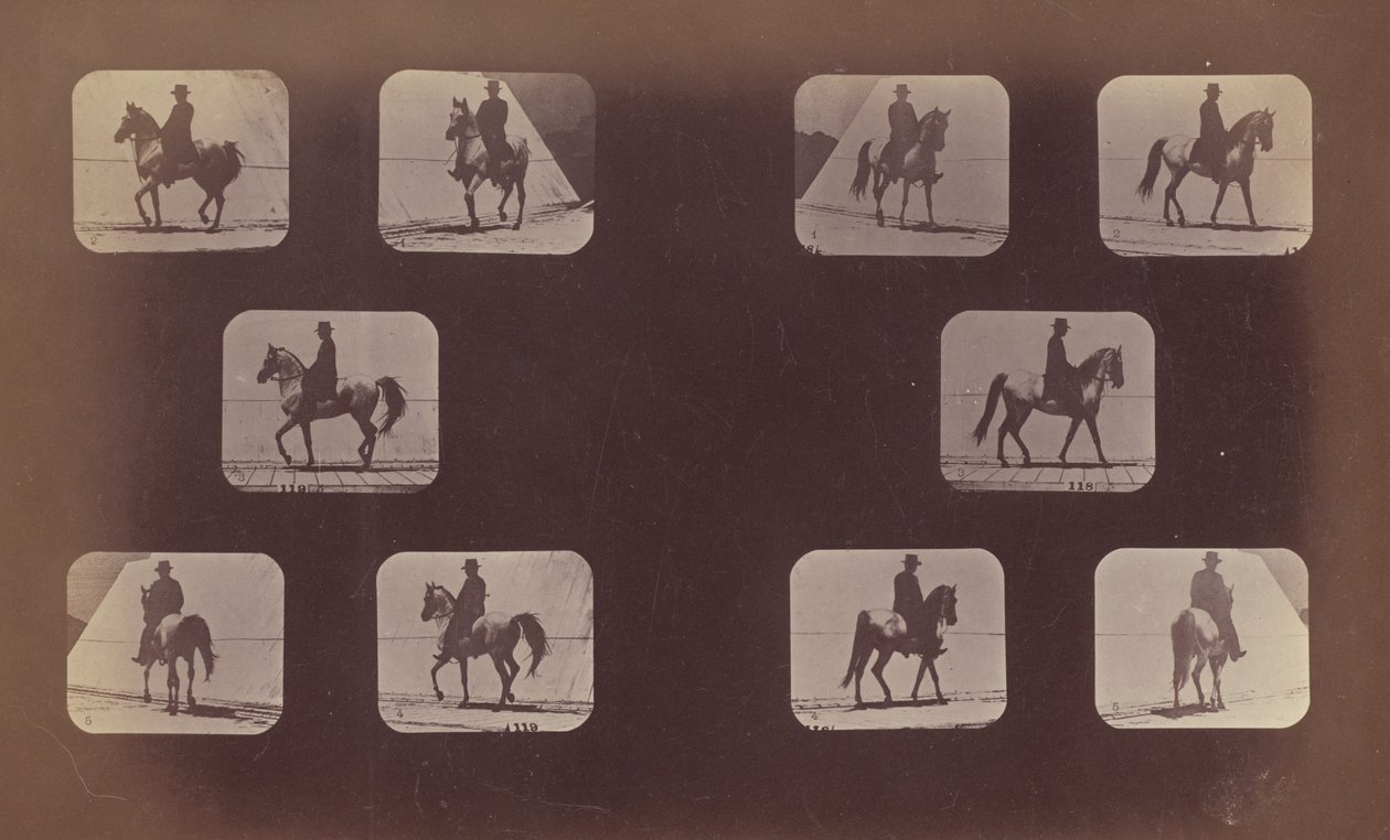 Studien von Verkürzungen. Pferde. Gehen. Mahomet. Nr. 119-120 von Eadweard Muybridge