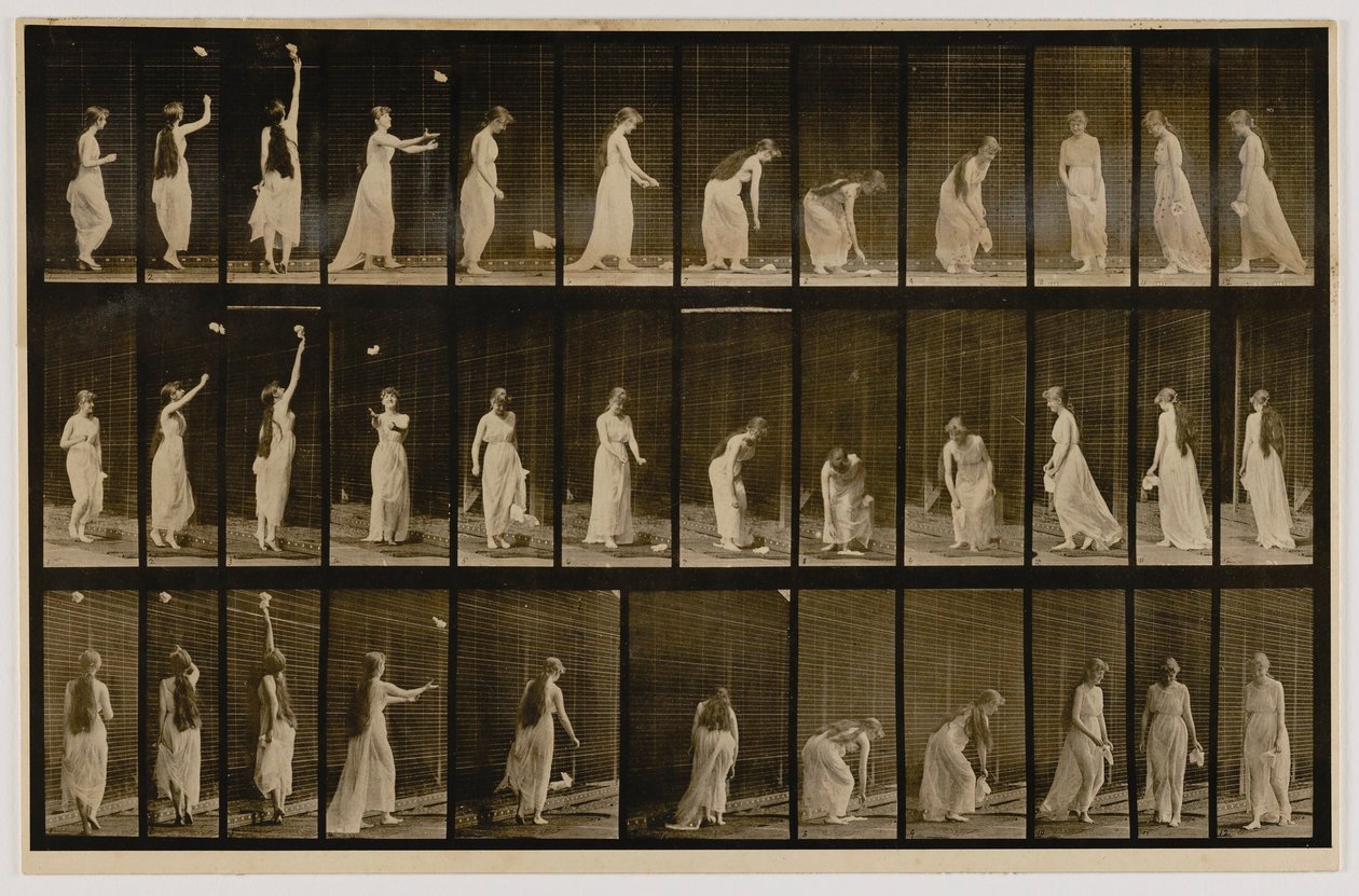 Frau wirft Taschentuch in die Luft, hebt es auf, aus dem Buch Animal Locomotion von Eadweard Muybridge